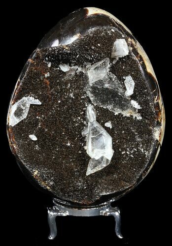 Septarian Dragon Egg Geode - Black Crystals #54561